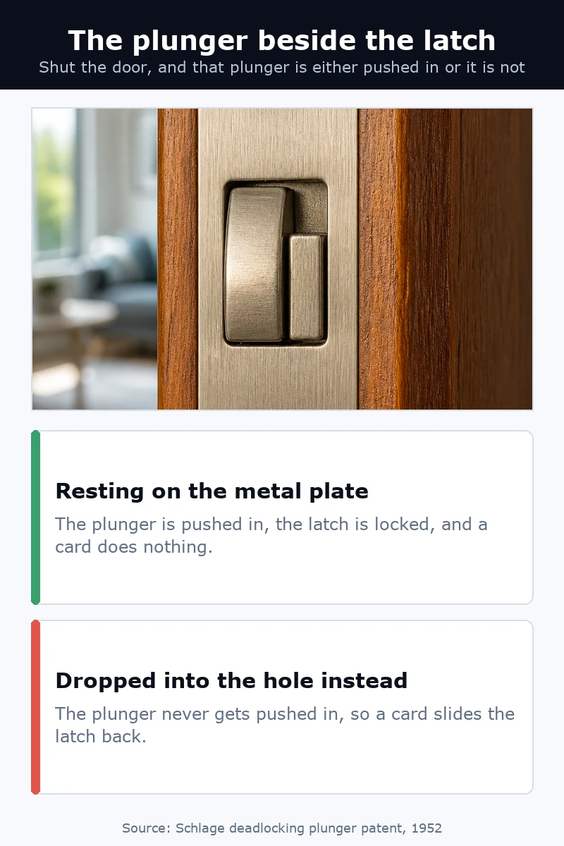 Stacked view of a door latch: the small plunger next to it presses against the strike plate and locks the latch in place